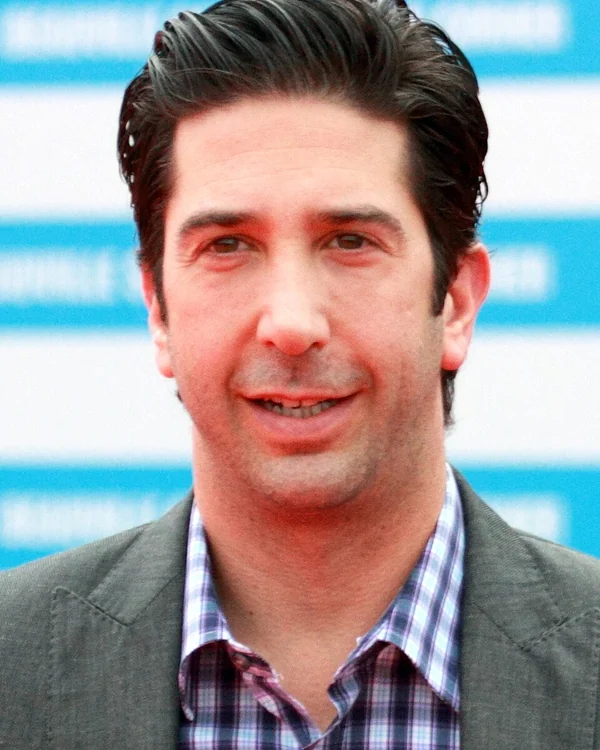 David Schwimmer